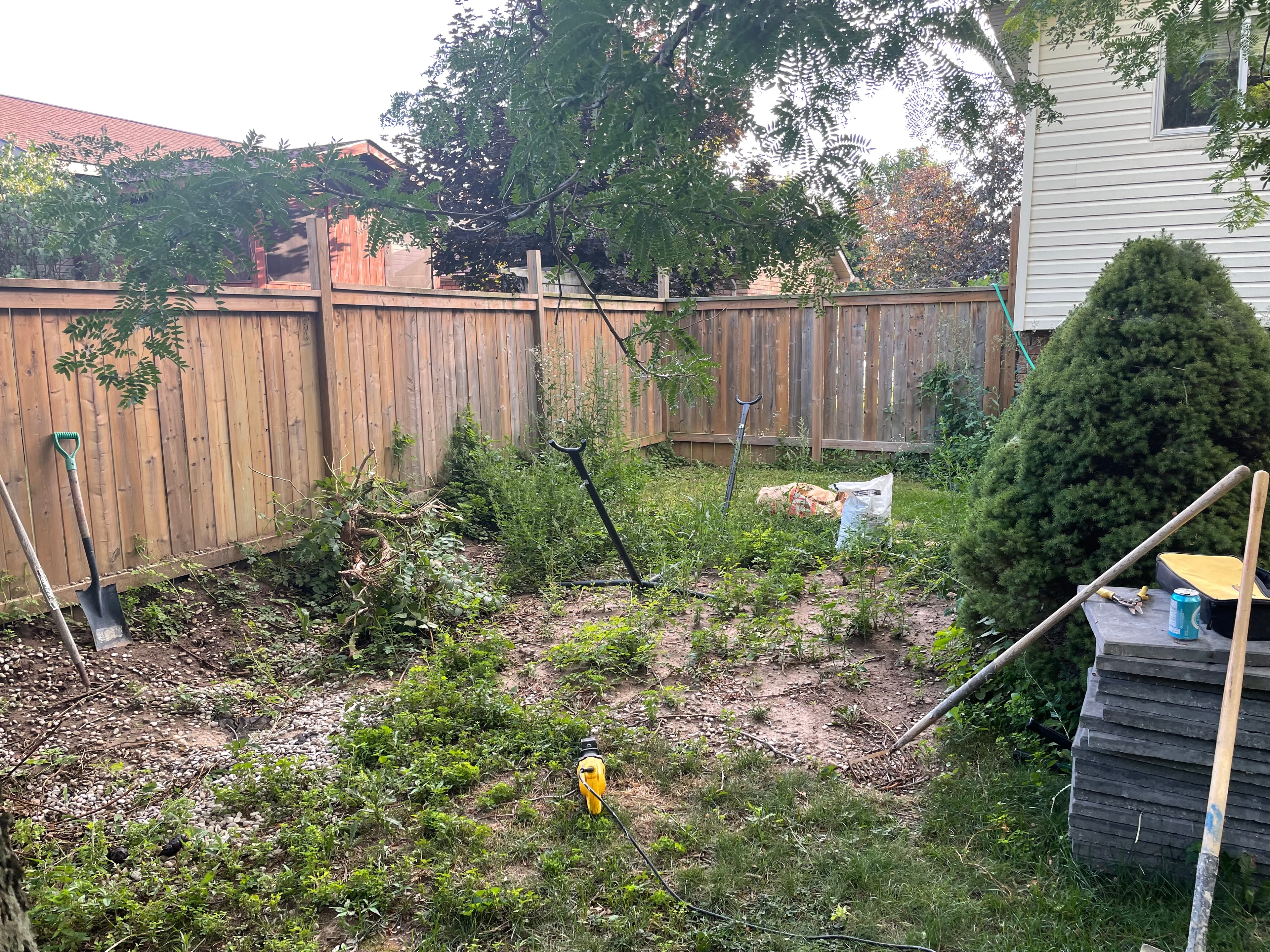 Brant County backyard before landscaping — overgrown shrubs and debris mid-clearance